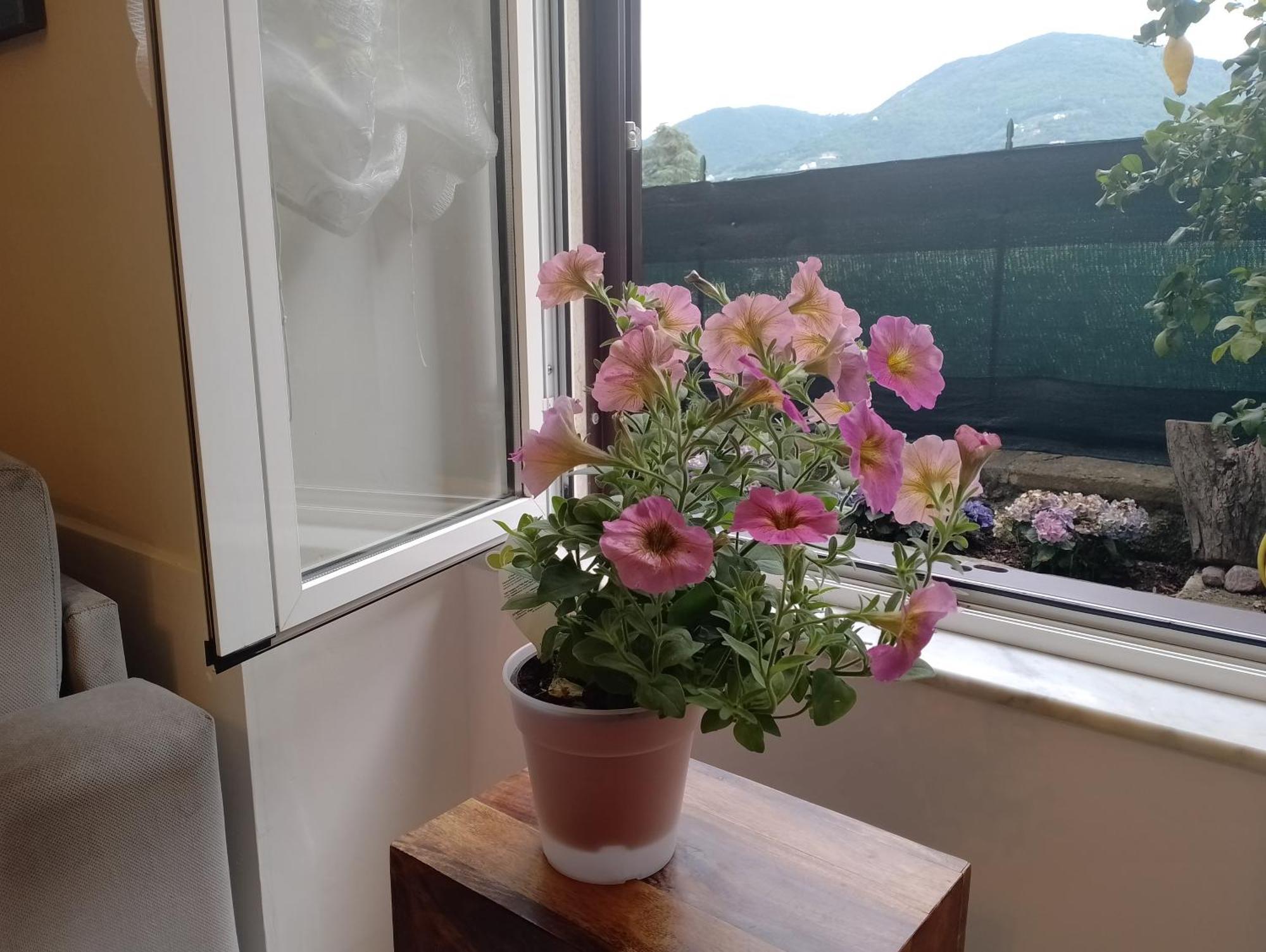 Casa Veve' Apartment La Spezia Luaran gambar